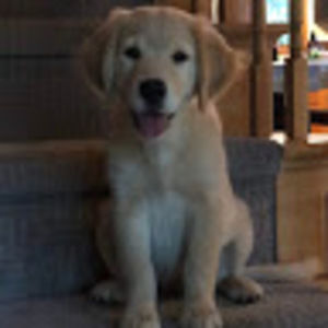 Meet your Posher, Winter